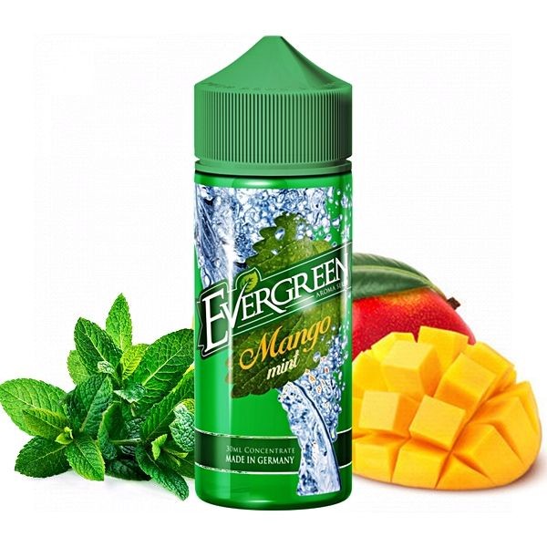 Evergreen - Mango Mint Longfill